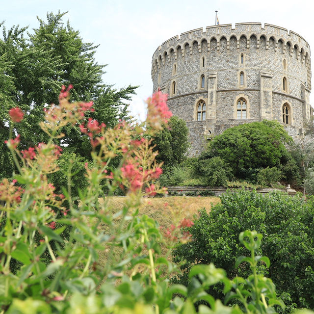A Majestic Journey Through History – Windsor Castle Delivers!
