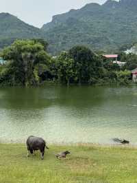 Ninh Binh’s Wetland Zen – The Road Less Traveled