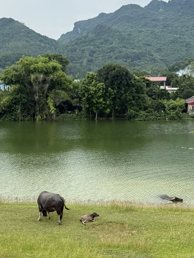 Ninh Binh’s Wetland Zen – The Road Less Traveled