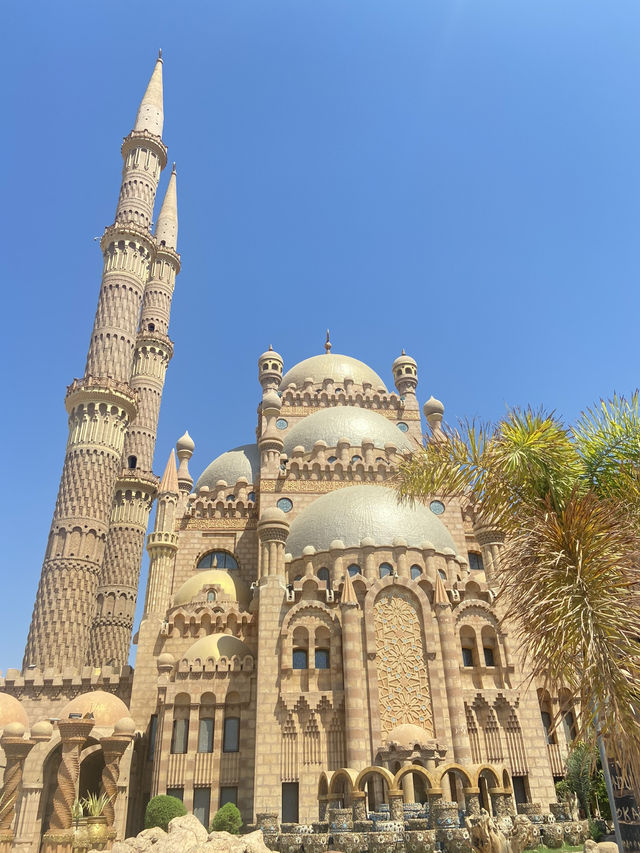 Beyond the Desert: My Journey Through the Hidden Gems of Egypt 🇪🇬✨