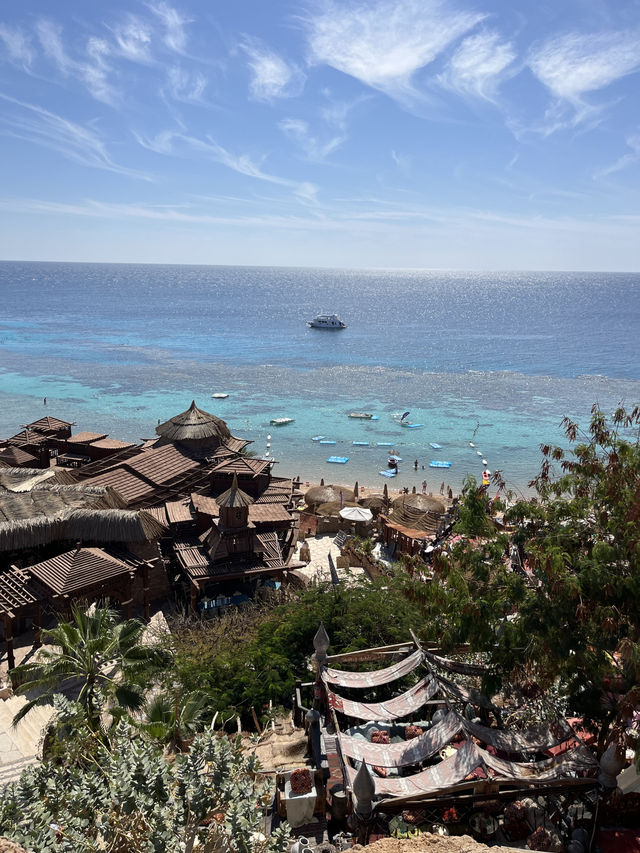 Budget Diving Escape in Sharm – All in for $100!