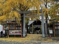 Tokyo itinerary for the best blend of city views, fresh eats, and chill urban energy