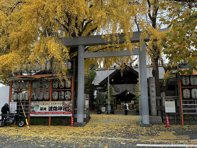 Tokyo itinerary for the best blend of city views, fresh eats, and chill urban energy