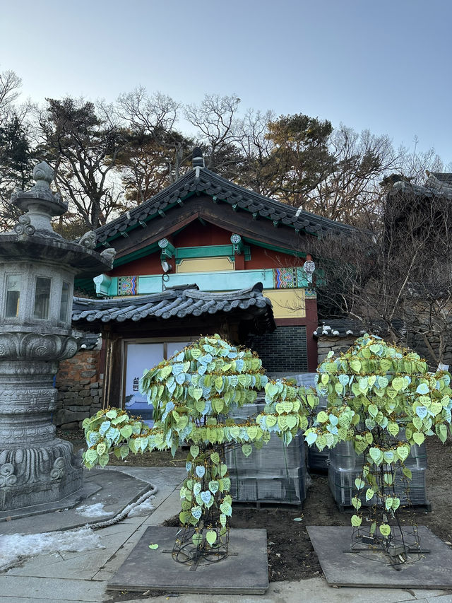 Get Ready to discover the hidden wonders of Daegu!