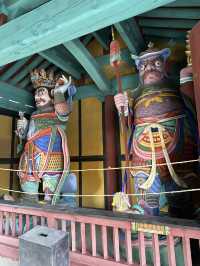 Get Ready to discover the hidden wonders of Daegu!