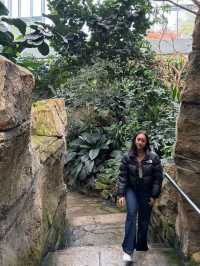 One Fine Day in Karlsruhe สวนสัตว์ที่สวยกว่าที่คิด