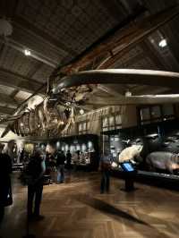 National museum of Prague
