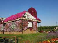 Where Dreams Bloom: Dubai Miracle Garden 🇦🇪