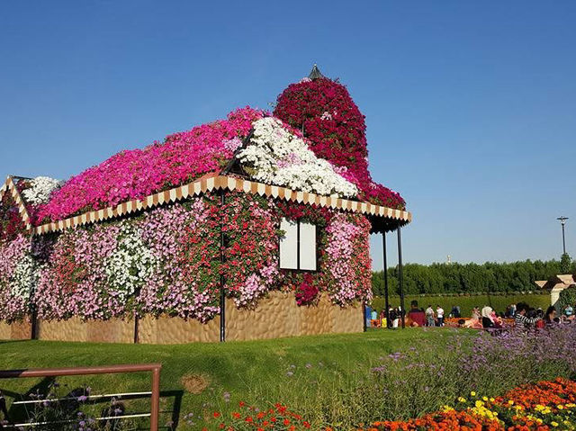 Where Dreams Bloom: Dubai Miracle Garden 🇦🇪