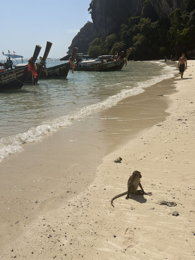 Phi Phi Islands Trip Report — For Anyone Who Wants to Be a Beautiful Christmas Cliché 🎄🌴 Phi Phi Islands Trip Report — For Anyone Who Wants to Be a Beautiful Christmas Cliché 🎄🌴