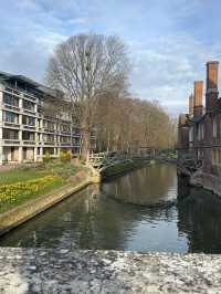  Cambridge in spring = pure magic 🌷☀️ – here’s why you should visit now