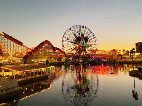 🏰🇺🇸 一生の思い出✨ディズニーの原点へ！アナハイムディズニー は