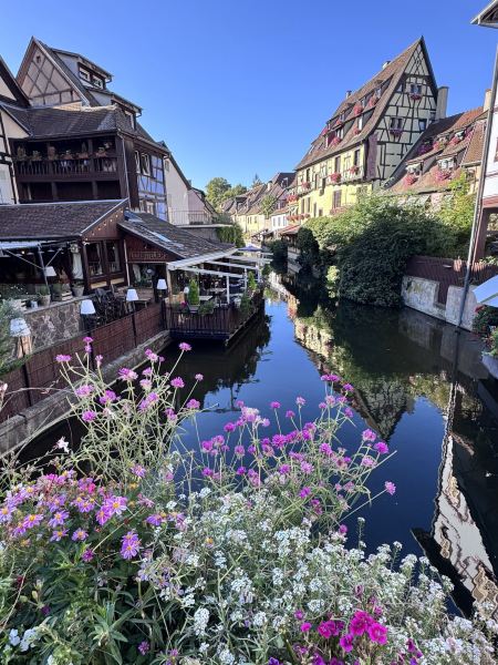 💛 wonderful Day Trip from Basel to Colmar and Strasbourg ⭐️⭐️⭐️⭐️⭐️