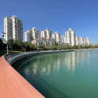 Shenzhen bay Shekou, Miami 😎