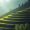 TrailblazingTales
