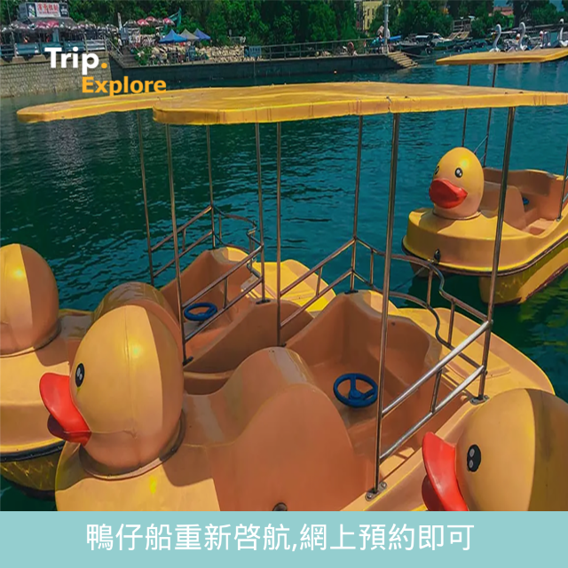維港海上樂園｜水上單車重開🦆