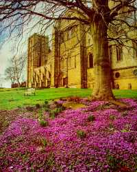 Colorful spring 🍀 - Yorkshire