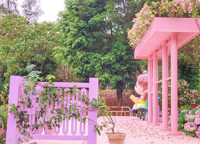 Hong Kong Flower Appreciation | Nanchang's Pink Check-in Bus Stop Surprises