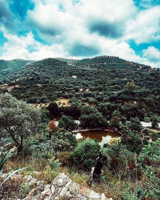 Botanical Paradise in Crete: Explore the Colorful Gardens and Wildlife at the Botanical Park