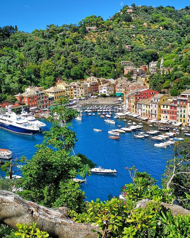 Portofino: The Italian Destination That's Grabbing the Spotlight with the Camera 📷🇮🇹