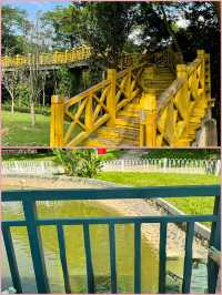 綠意盎然的寶安城市公園，親近大自然休閒好去處