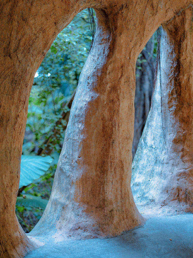 深圳這座免費的小眾公園我不敢告訴太多人，因為實在太好拍了！