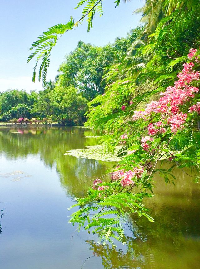 百花潭公園——一個充滿詩情畫意的地方！