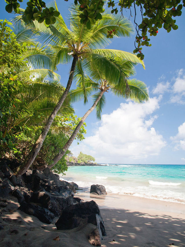 Discover the Magic of Key West: Explore White Sand Beaches and Hemingway's Home!