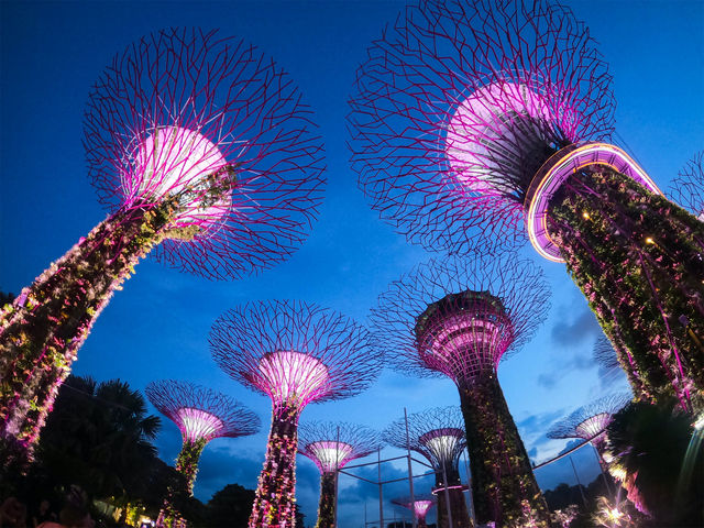 😇🌈 Unbelievably Dreamy! Singapore hides a paradise beyond your wildest dreams!