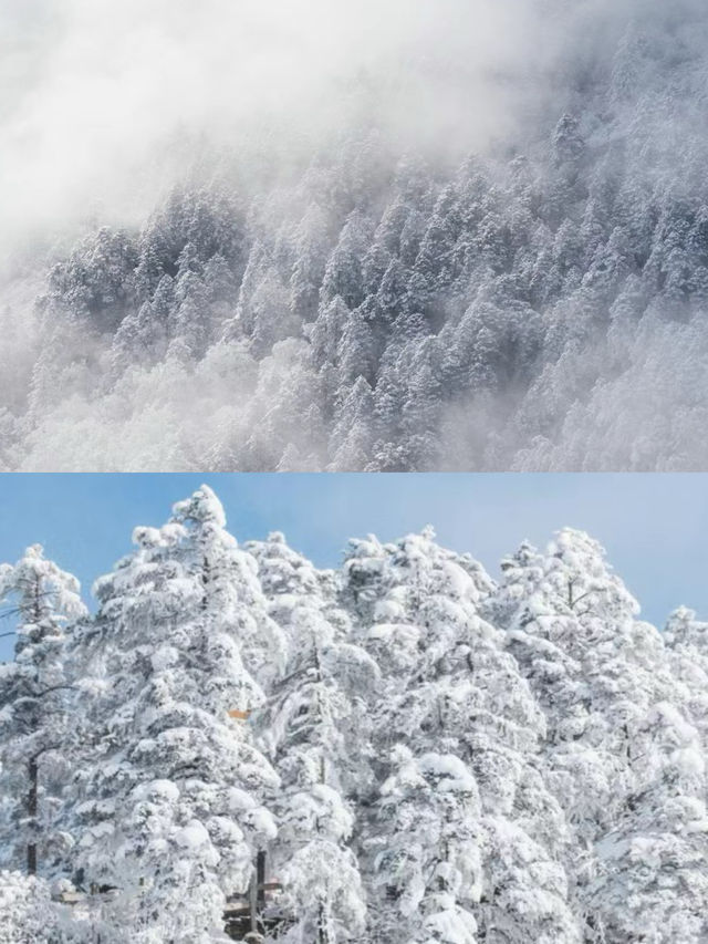 成都周邊遊|抓住冬日的尾巴，去看場雪吧