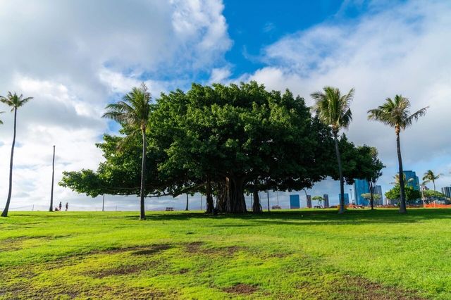 檀香山阿拉莫納海灘公園｜美麗的海灘，平靜的水域、兒童游泳區