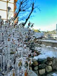 雪嶽溫泉場：適合全家放鬆的溫暖好去處