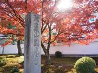 京都景點｜瑞巌山 圓光寺