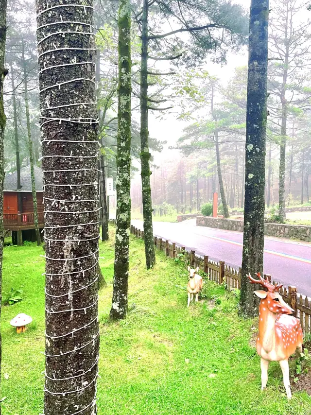 洛陽周邊遊逃離城市周末好去處 沒做太多功課，沒有下雨天去過山裡，拉著朋友就出發了，到了真的太驚喜了!