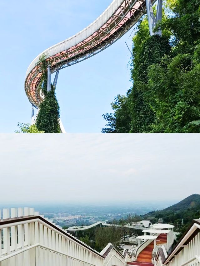 成都！我找到了通往雲端的山頂棧道