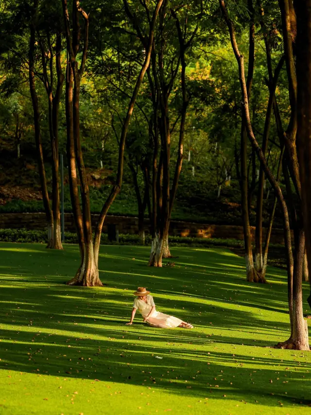 Seeking the colors of autumn, the small forest in the Expo Garden