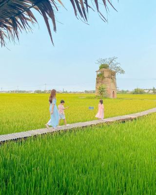 Кафе, которое я посетил во время однодневной поездки в Хойан 🍃
Популярное место среди вьетнамцев с освежающим видом на рисовые поля ✨