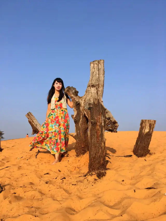 Vietnam's desert