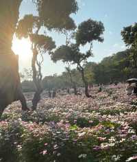 深圳西麗生態公園｜戶外溜孩子好去處