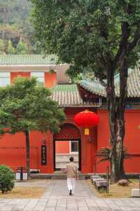廣東新會，真的是被低估的寶藏旅遊城市