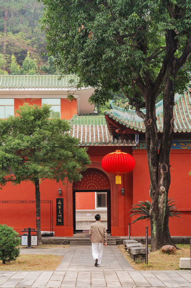 廣東新會，真的是被低估的寶藏旅遊城市