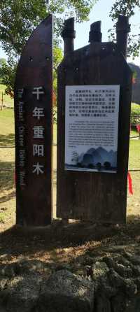 蔡家宅—僑鄉第一宅