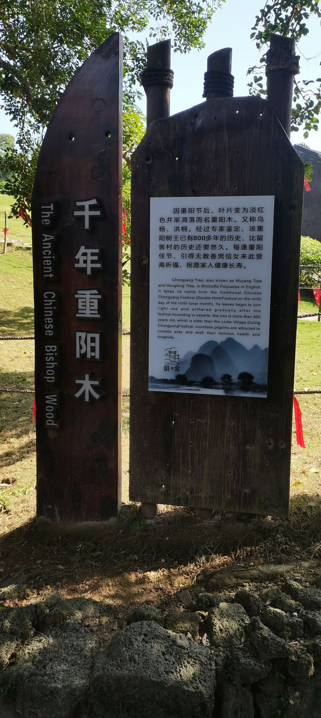 蔡家宅—僑鄉第一宅