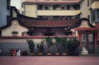 漸行漸美——走進全國文明村“漸美村”