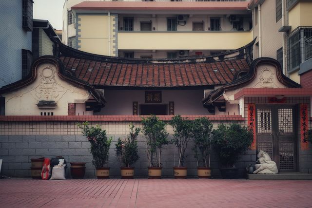 漸行漸美——走進全國文明村“漸美村”