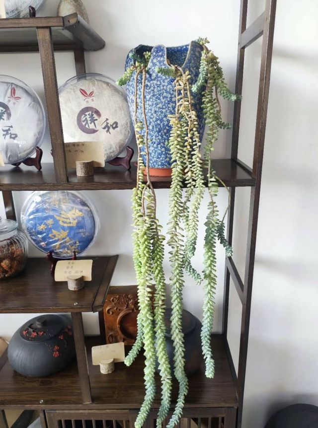 普洱天竿箐村的一家民宿 普洱天竿箐村的一家民宿