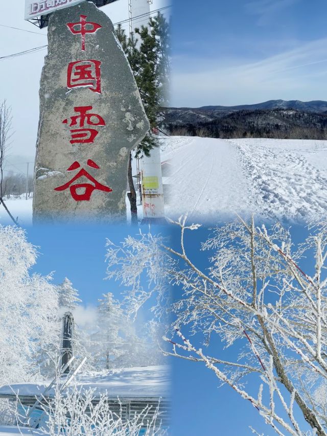 哈爾濱雪谷｜冬日獨有的浪漫