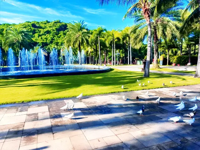 Stay at the Coral Hotel, visit Wuzhizhou Island during off-peak times, and enjoy the Tiffany-colored glass sea