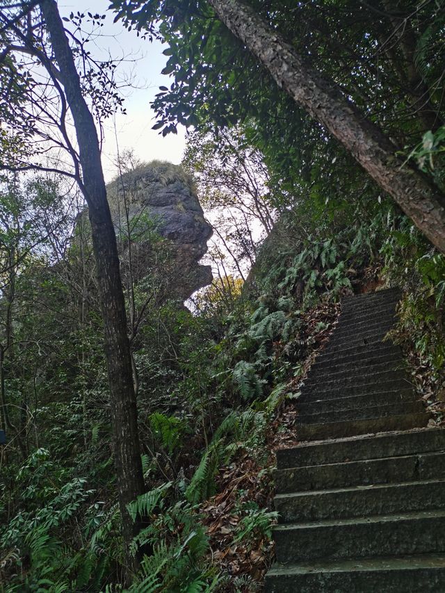 浦江江南第一家仙華山一日遊攻略