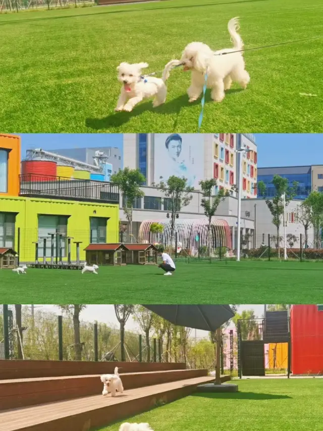 aocheng Pet Town | A colorful container tourist destination